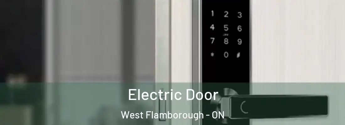  Electric Door West Flamborough - ON