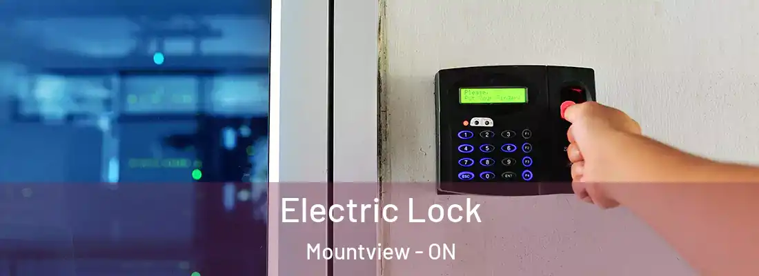  Electric Lock Mountview - ON