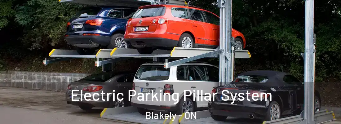  Electric Parking Pillar System Blakely - ON