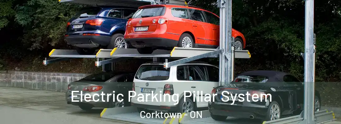 Electric Parking Pillar System Corktown - ON
