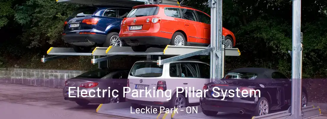  Electric Parking Pillar System Leckie Park - ON