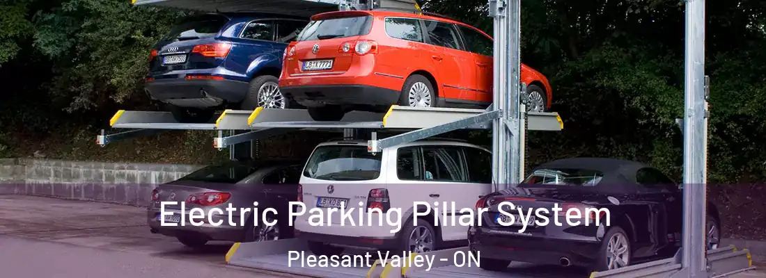  Electric Parking Pillar System Pleasant Valley - ON