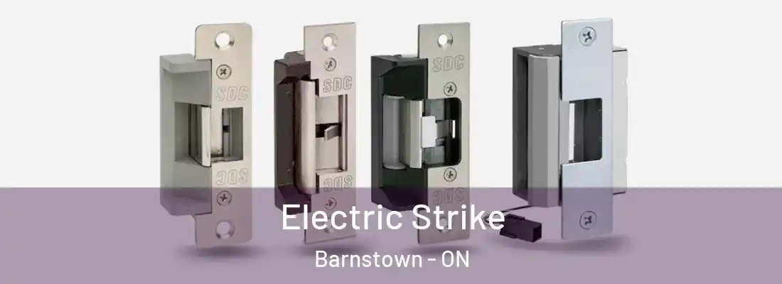 Electric Strike Barnstown - ON