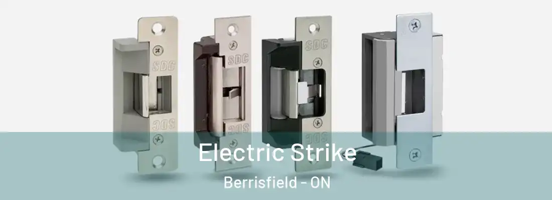  Electric Strike Berrisfield - ON