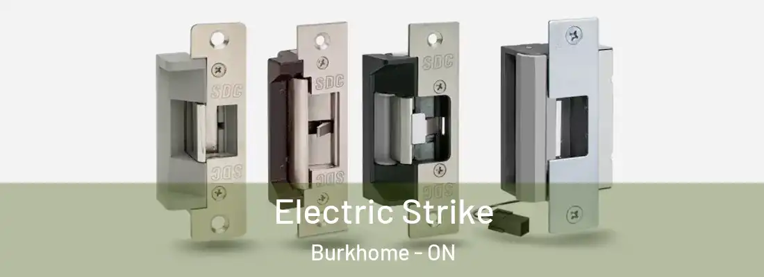  Electric Strike Burkhome - ON