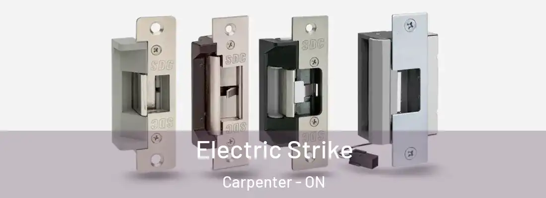  Electric Strike Carpenter - ON