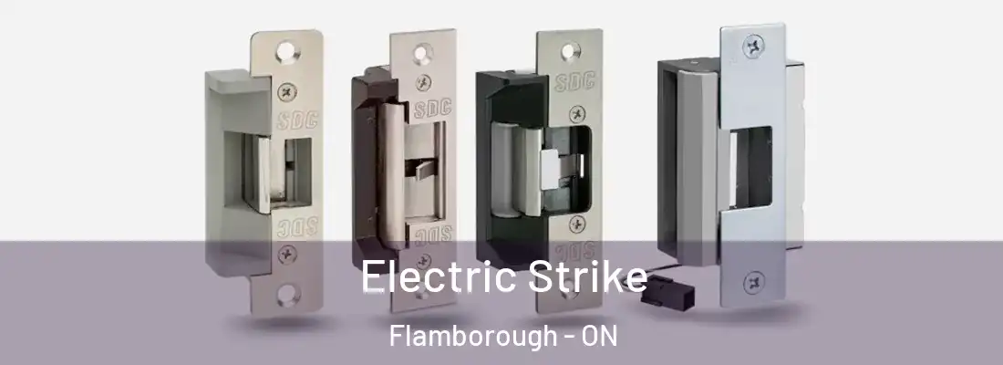  Electric Strike Flamborough - ON