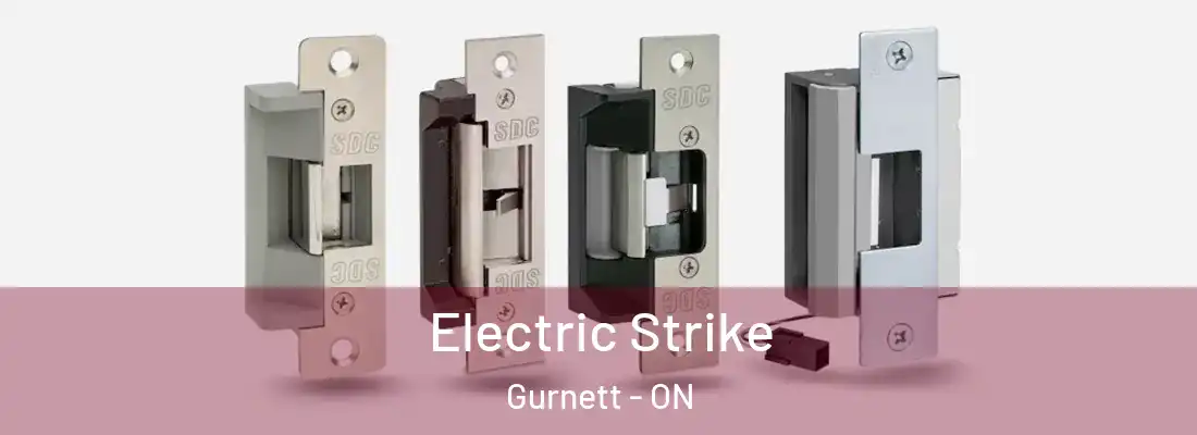  Electric Strike Gurnett - ON