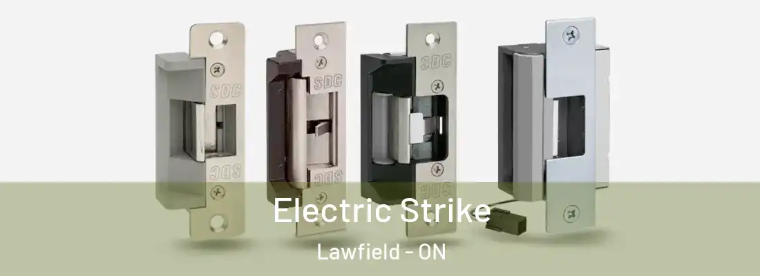  Electric Strike Lawfield - ON