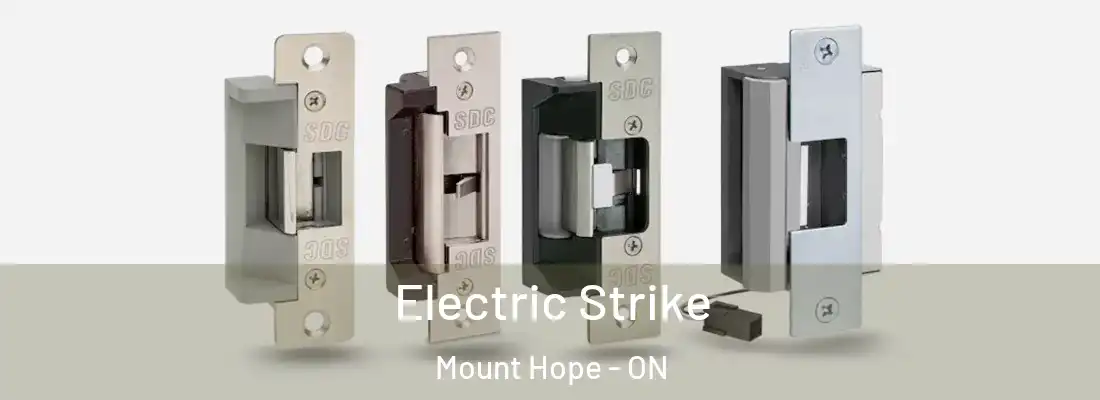  Electric Strike Mount Hope - ON
