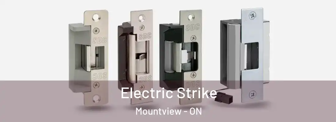  Electric Strike Mountview - ON