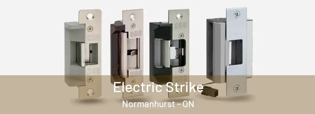  Electric Strike Normanhurst - ON