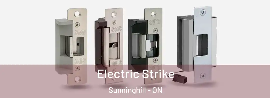  Electric Strike Sunninghill - ON