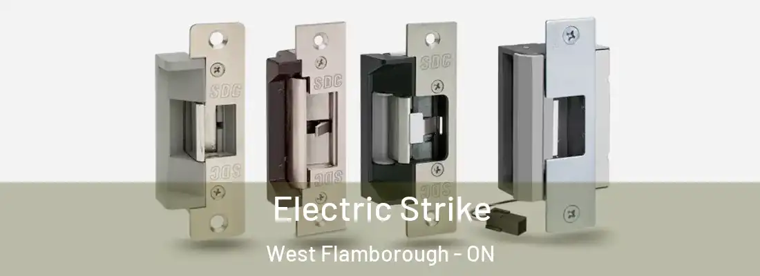  Electric Strike West Flamborough - ON