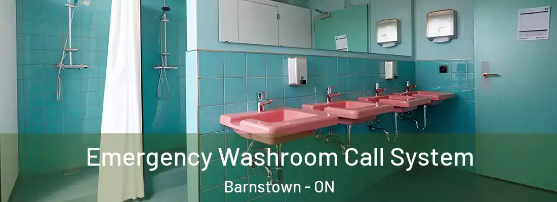  Emergency Washroom Call System Barnstown - ON