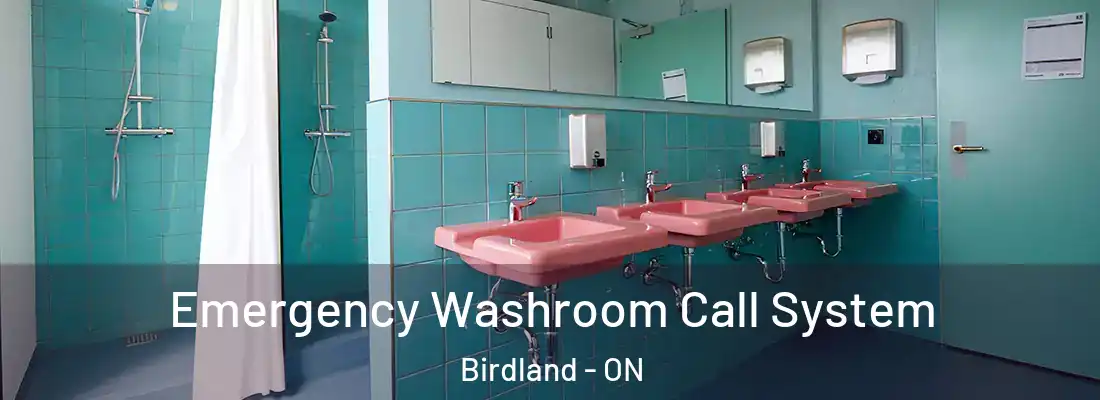  Emergency Washroom Call System Birdland - ON