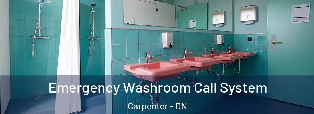  Emergency Washroom Call System Carpenter - ON