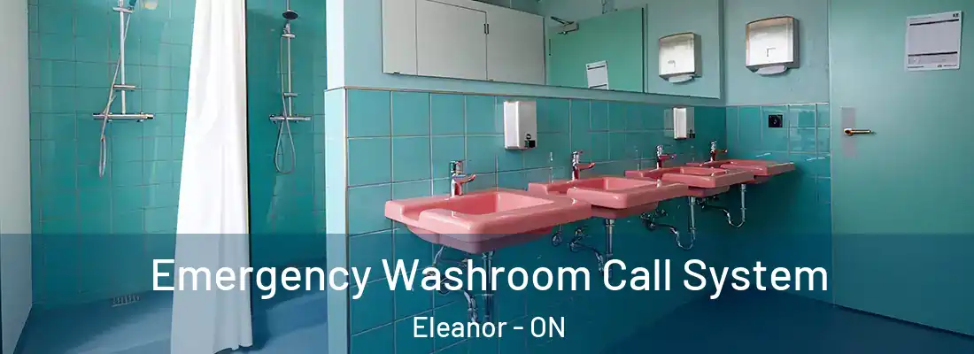  Emergency Washroom Call System Eleanor - ON