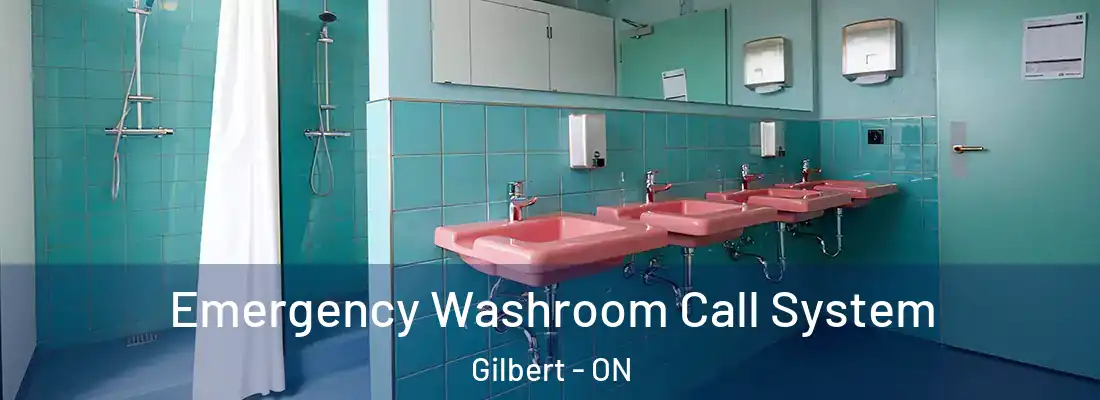  Emergency Washroom Call System Gilbert - ON