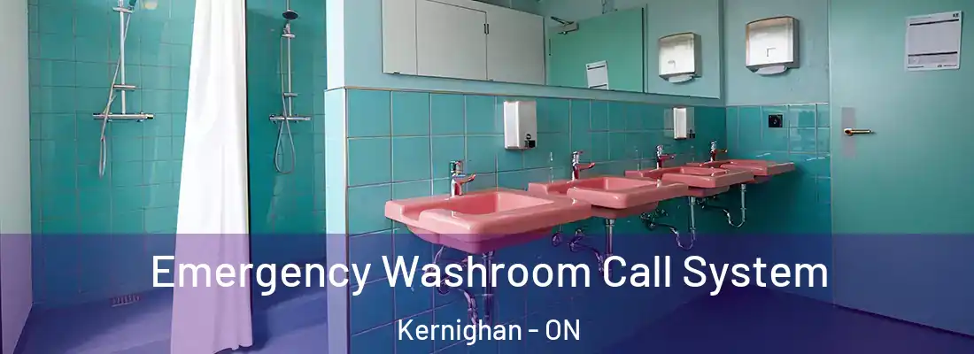  Emergency Washroom Call System Kernighan - ON