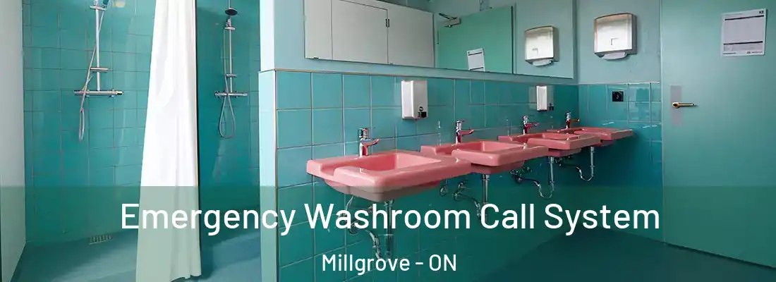  Emergency Washroom Call System Millgrove - ON