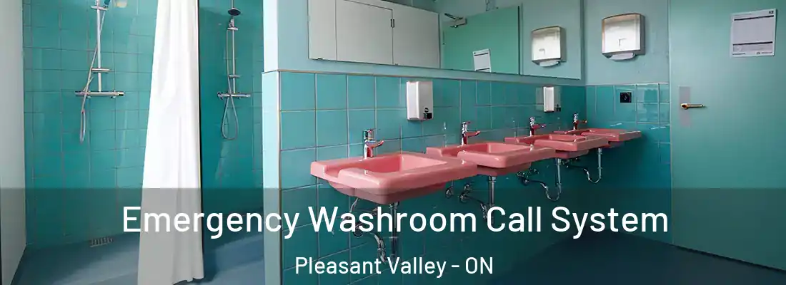  Emergency Washroom Call System Pleasant Valley - ON