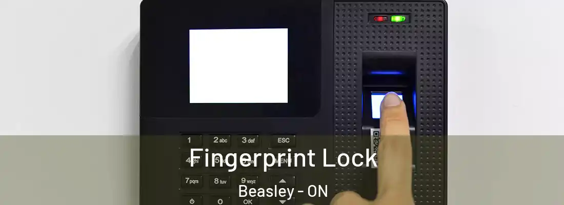  Fingerprint Lock Beasley - ON