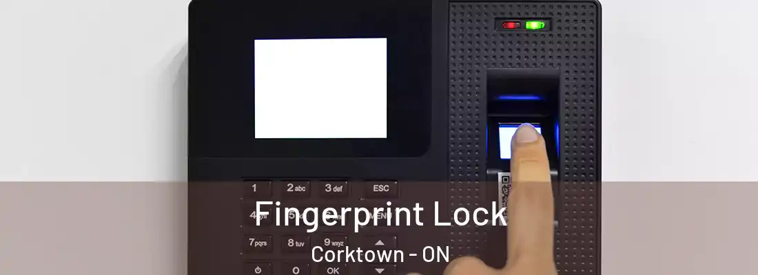  Fingerprint Lock Corktown - ON