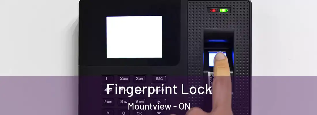  Fingerprint Lock Mountview - ON