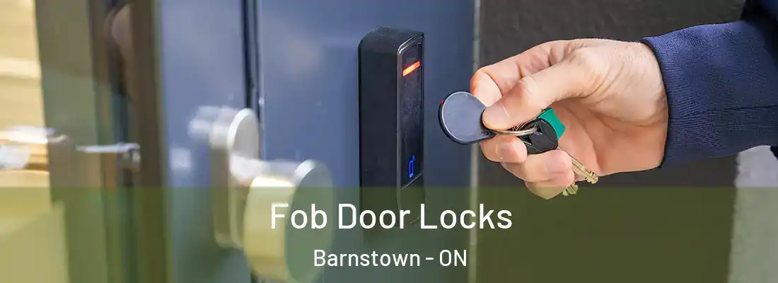  Fob Door Locks Barnstown - ON