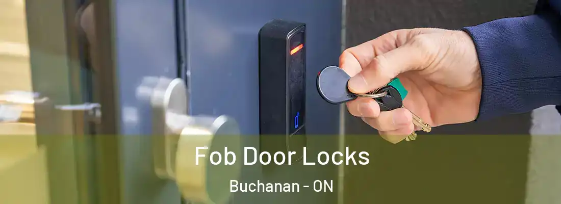  Fob Door Locks Buchanan - ON