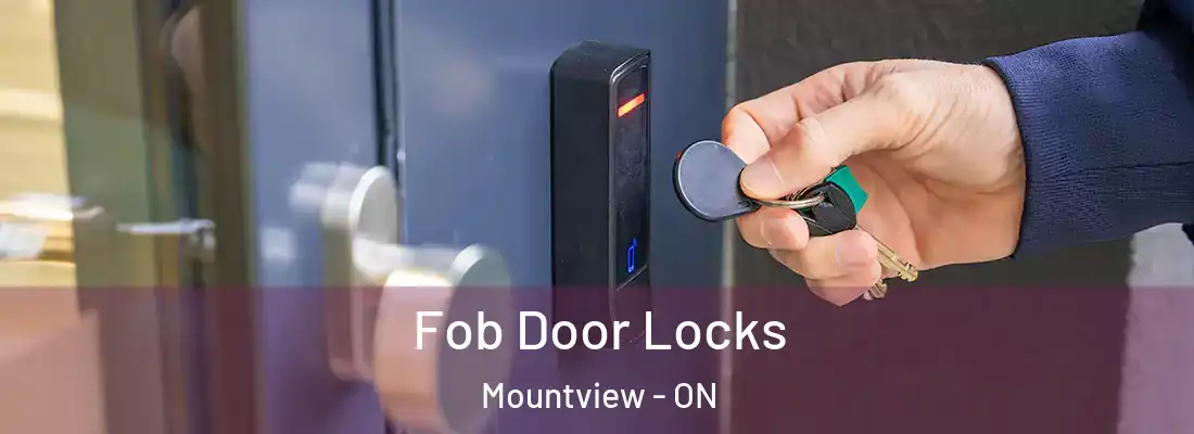  Fob Door Locks Mountview - ON