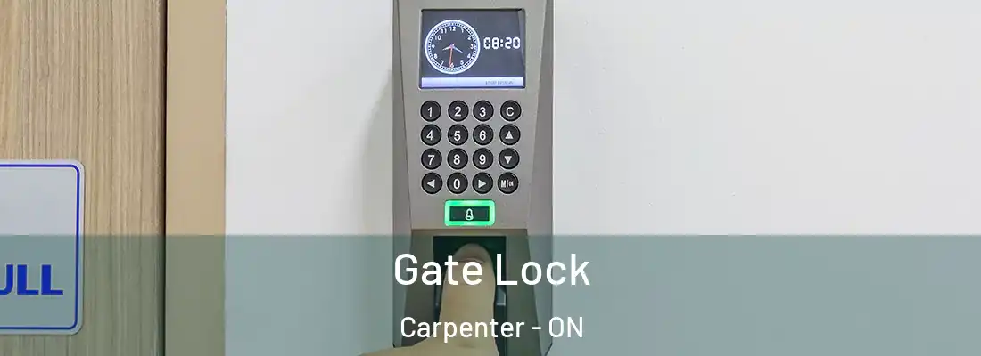  Gate Lock Carpenter - ON