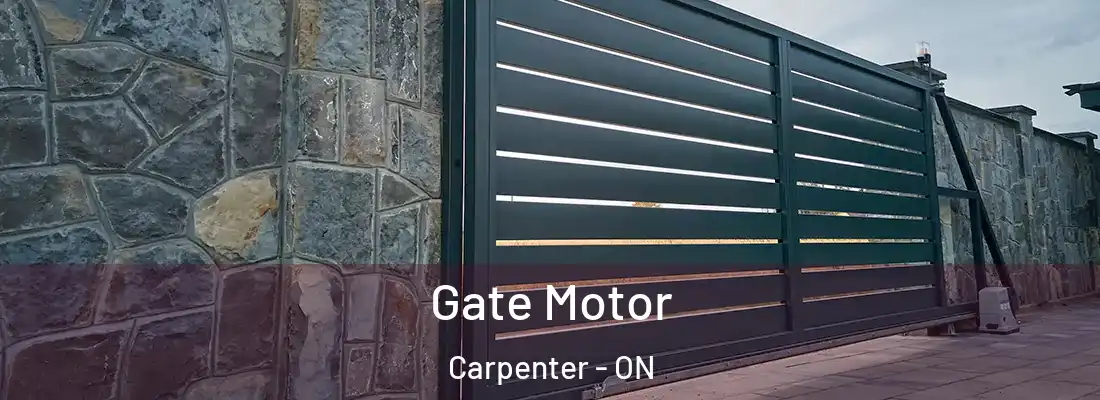  Gate Motor Carpenter - ON