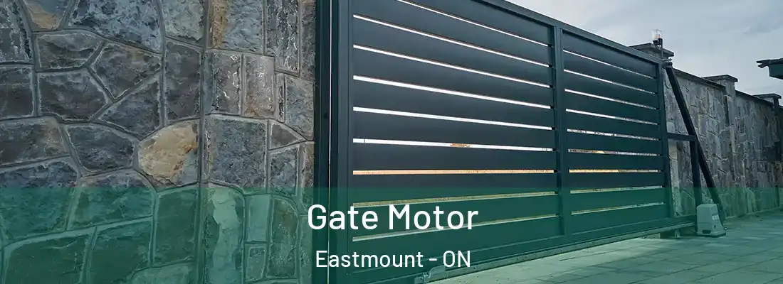  Gate Motor Eastmount - ON
