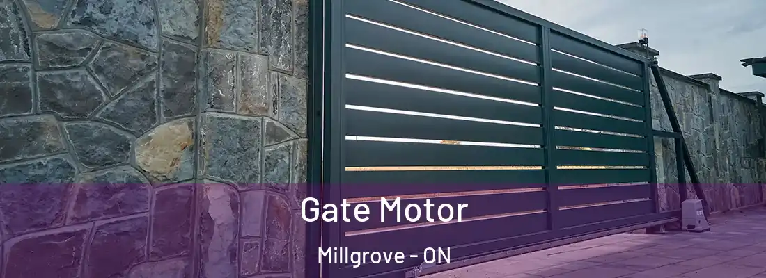  Gate Motor Millgrove - ON