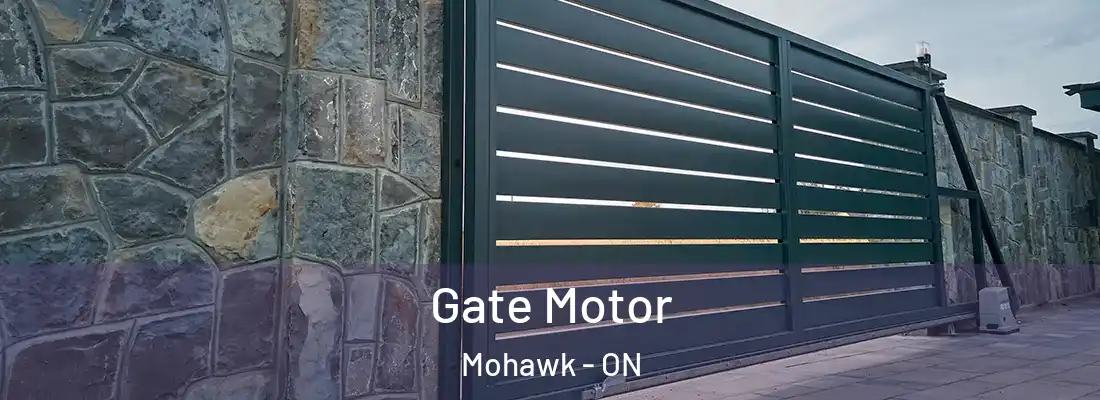  Gate Motor Mohawk - ON