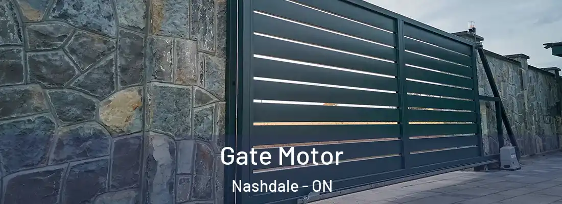  Gate Motor Nashdale - ON