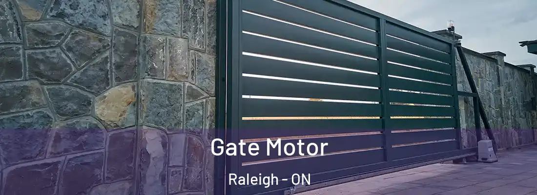  Gate Motor Raleigh - ON