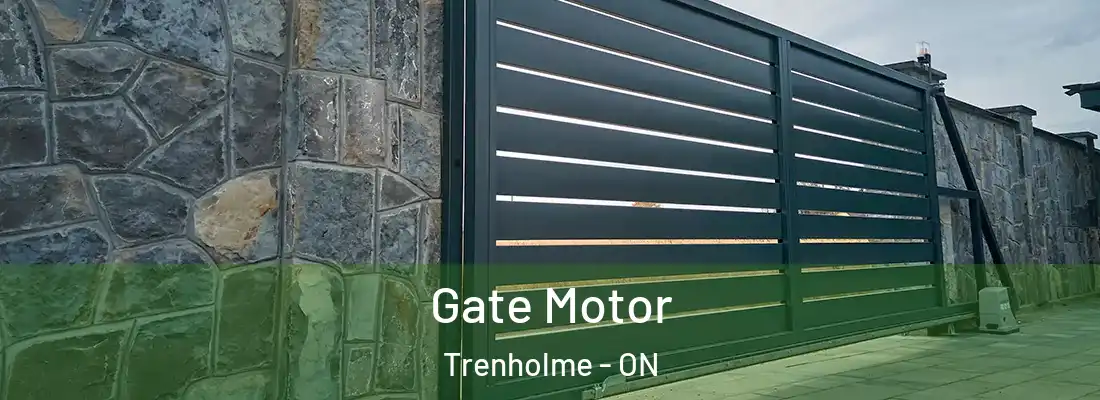  Gate Motor Trenholme - ON