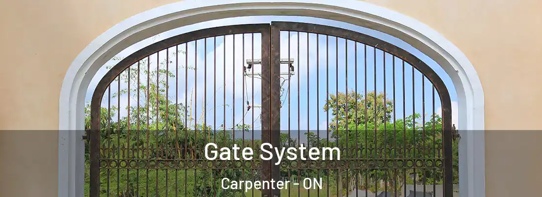  Gate System Carpenter - ON
