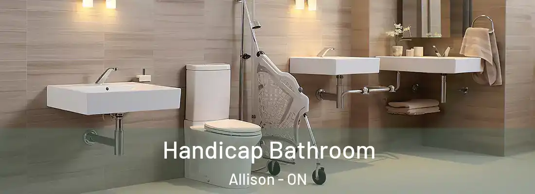  Handicap Bathroom Allison - ON