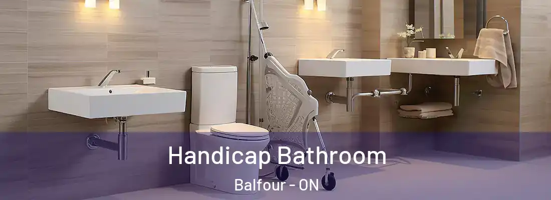  Handicap Bathroom Balfour - ON