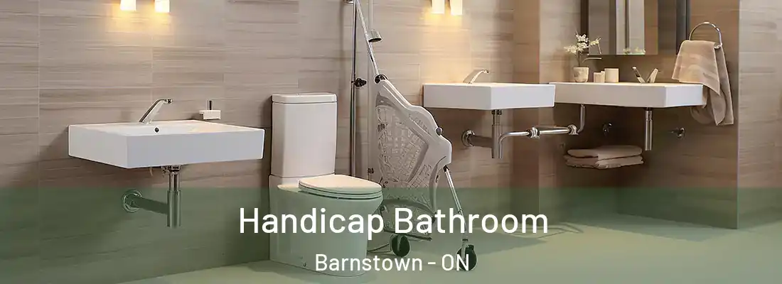  Handicap Bathroom Barnstown - ON