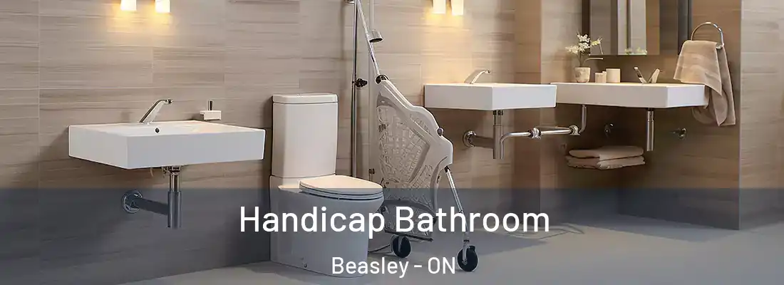  Handicap Bathroom Beasley - ON