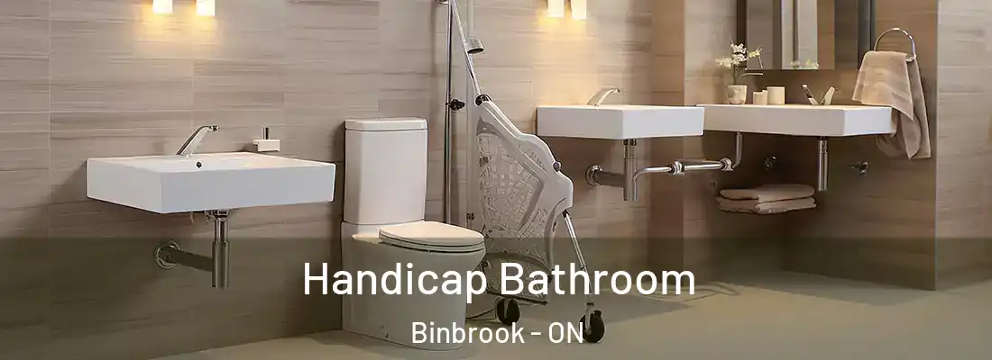  Handicap Bathroom Binbrook - ON
