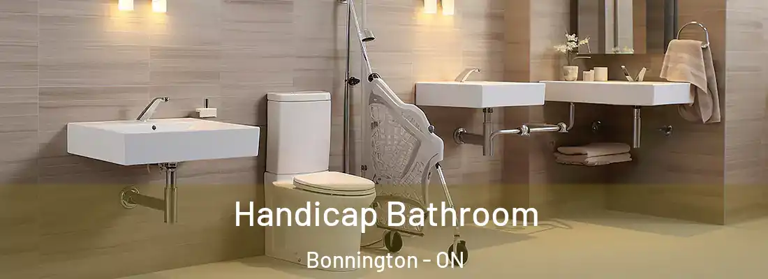  Handicap Bathroom Bonnington - ON