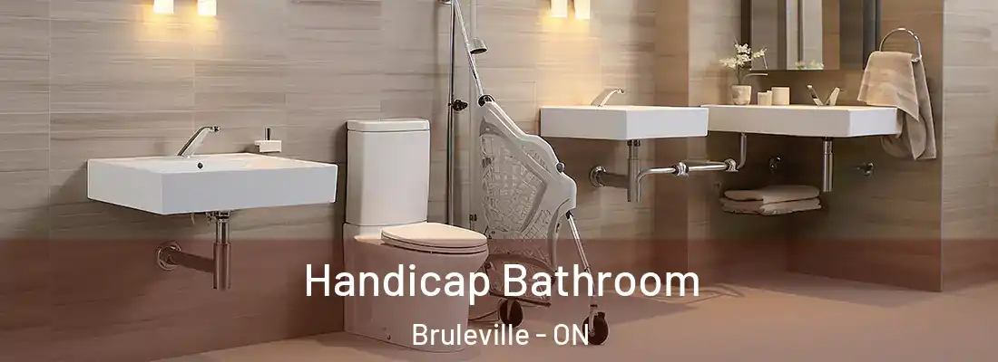  Handicap Bathroom Bruleville - ON
