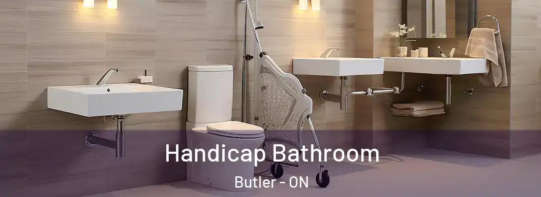  Handicap Bathroom Butler - ON