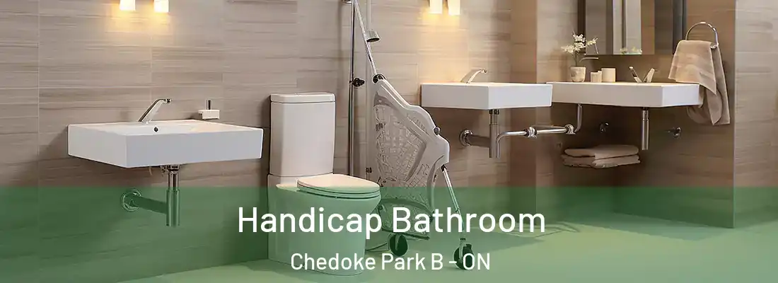  Handicap Bathroom Chedoke Park B - ON